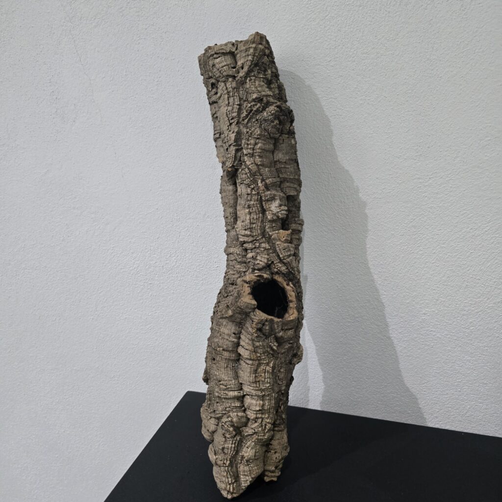 20250716 064624