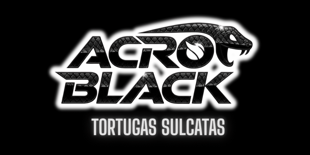 banner curso sobre programacion moderno azul 6